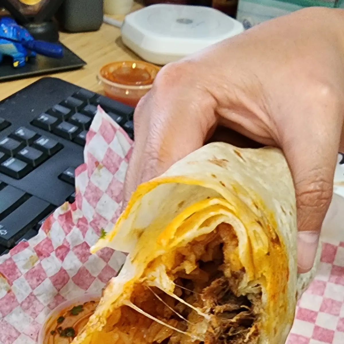 Birria Burrito