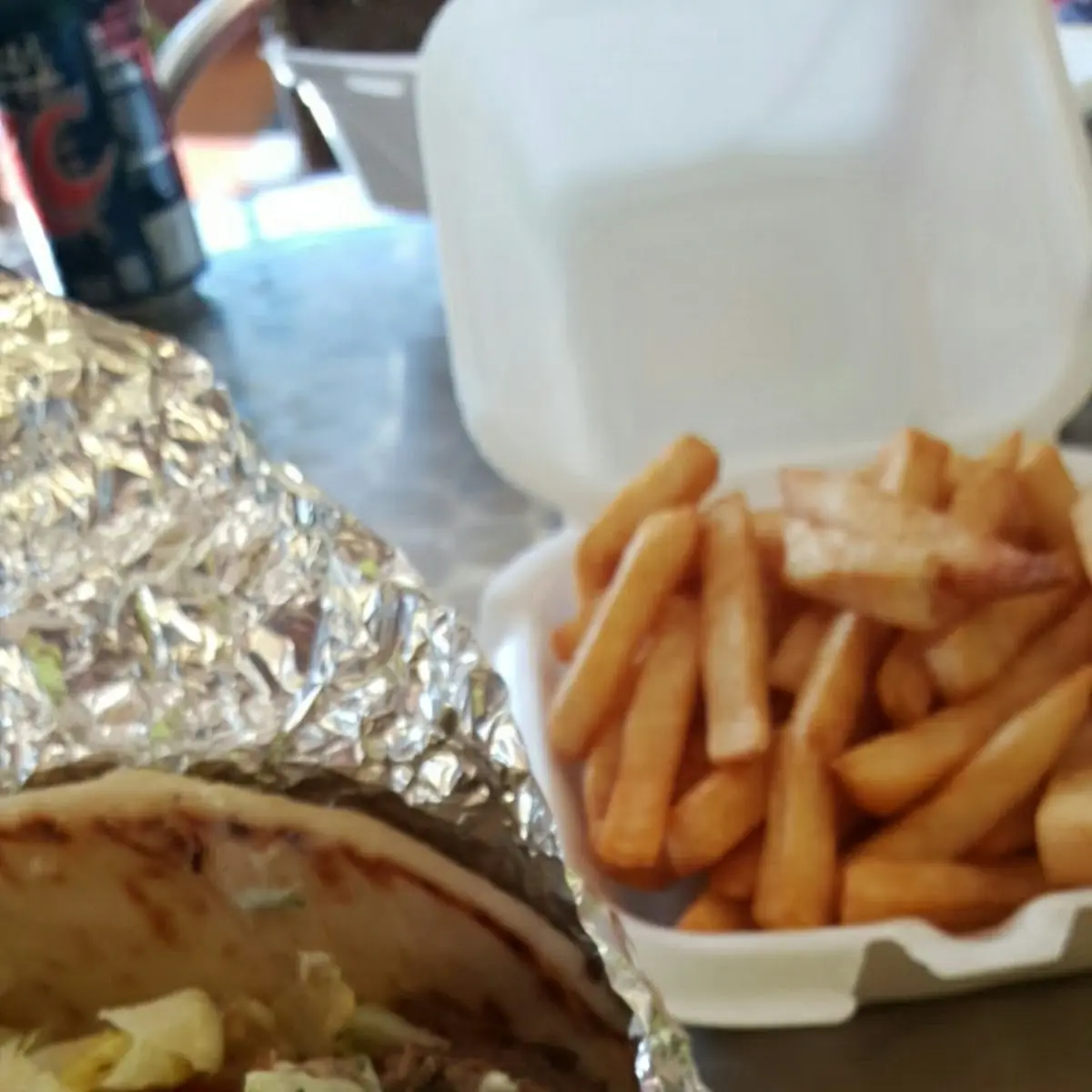 Gyro Cheese Fries