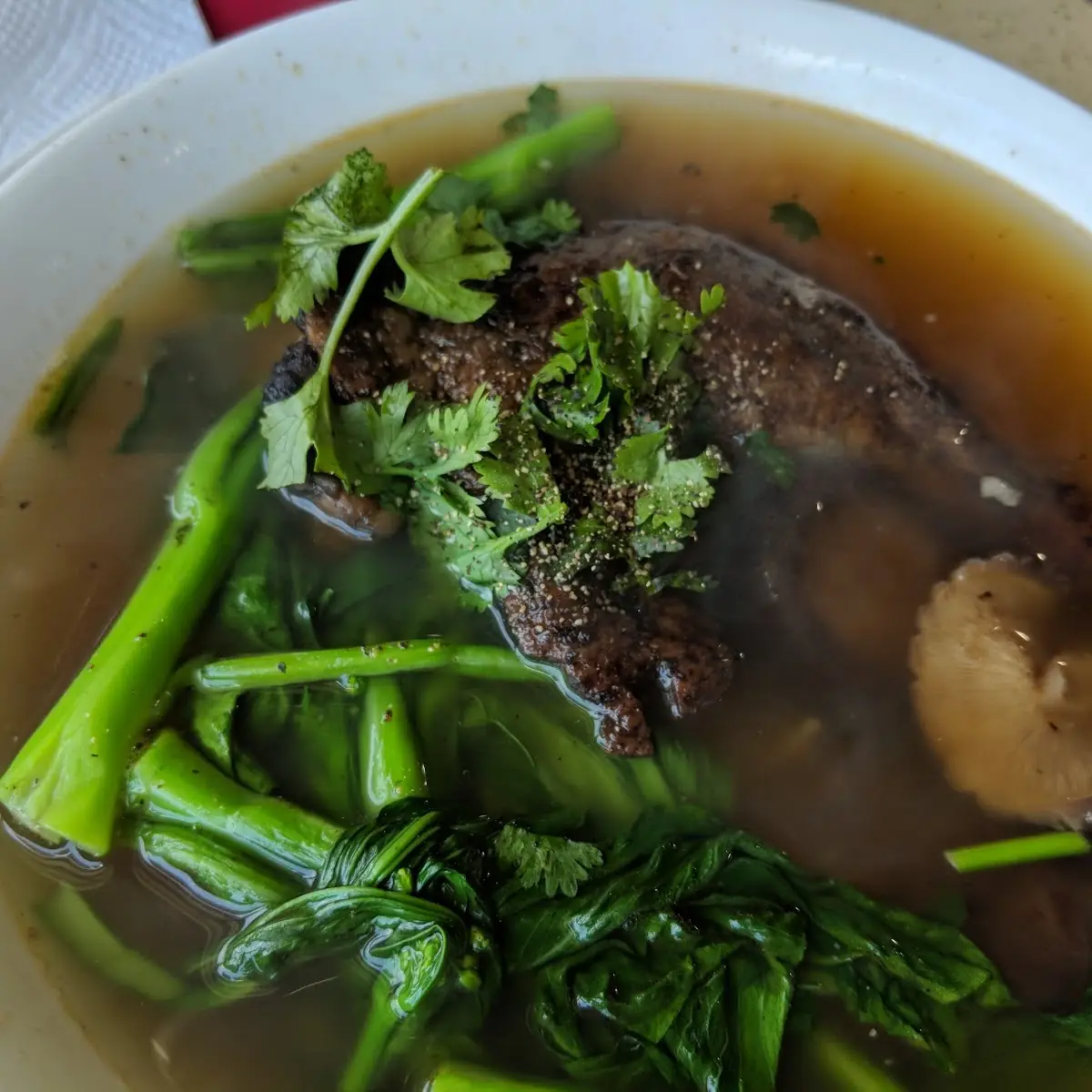 Duck Noodle Soup