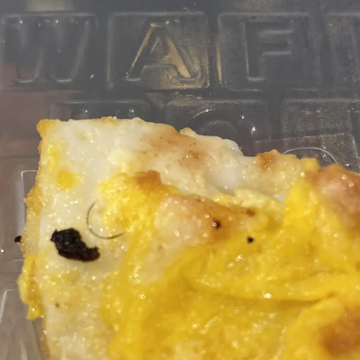 Egg & Cheese Me