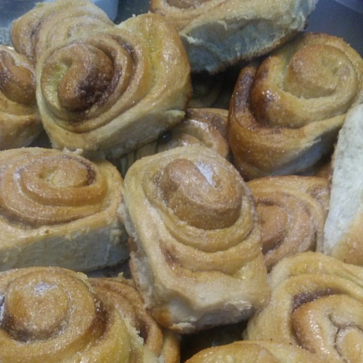 Cinnamon Roll