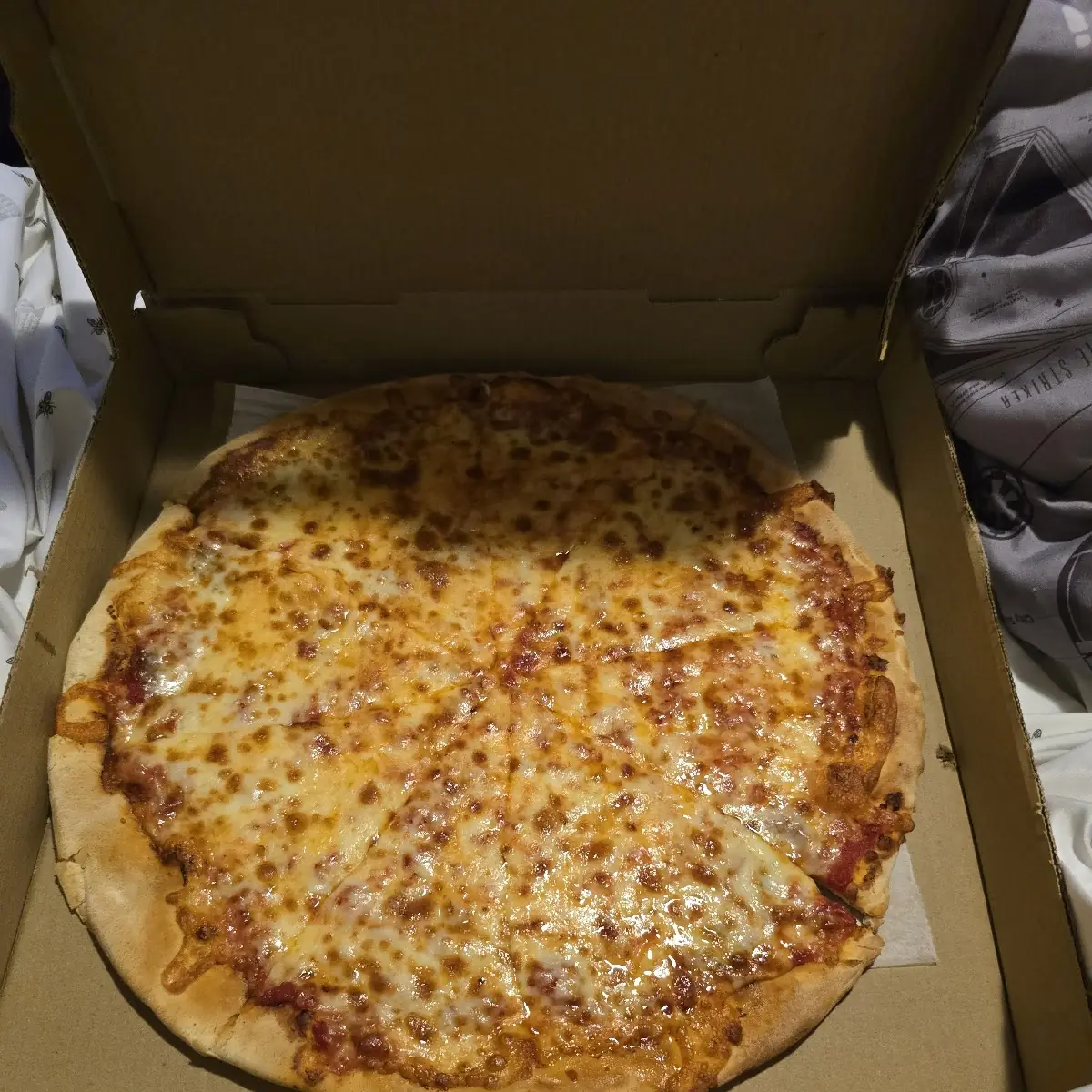 Plain Cheese Pizza