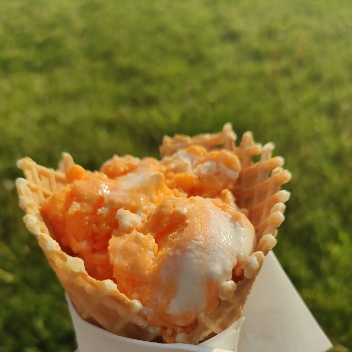Vanilla Orange Ice Cream Cone