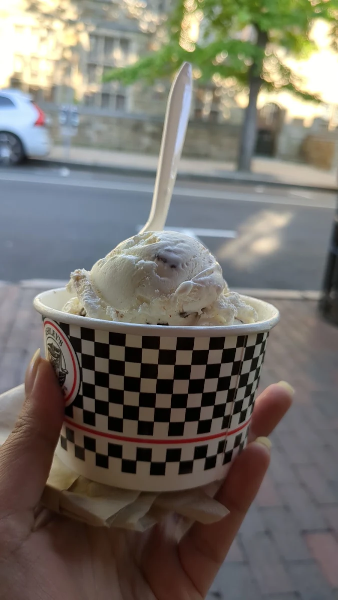 Mint Chocolate Chip
