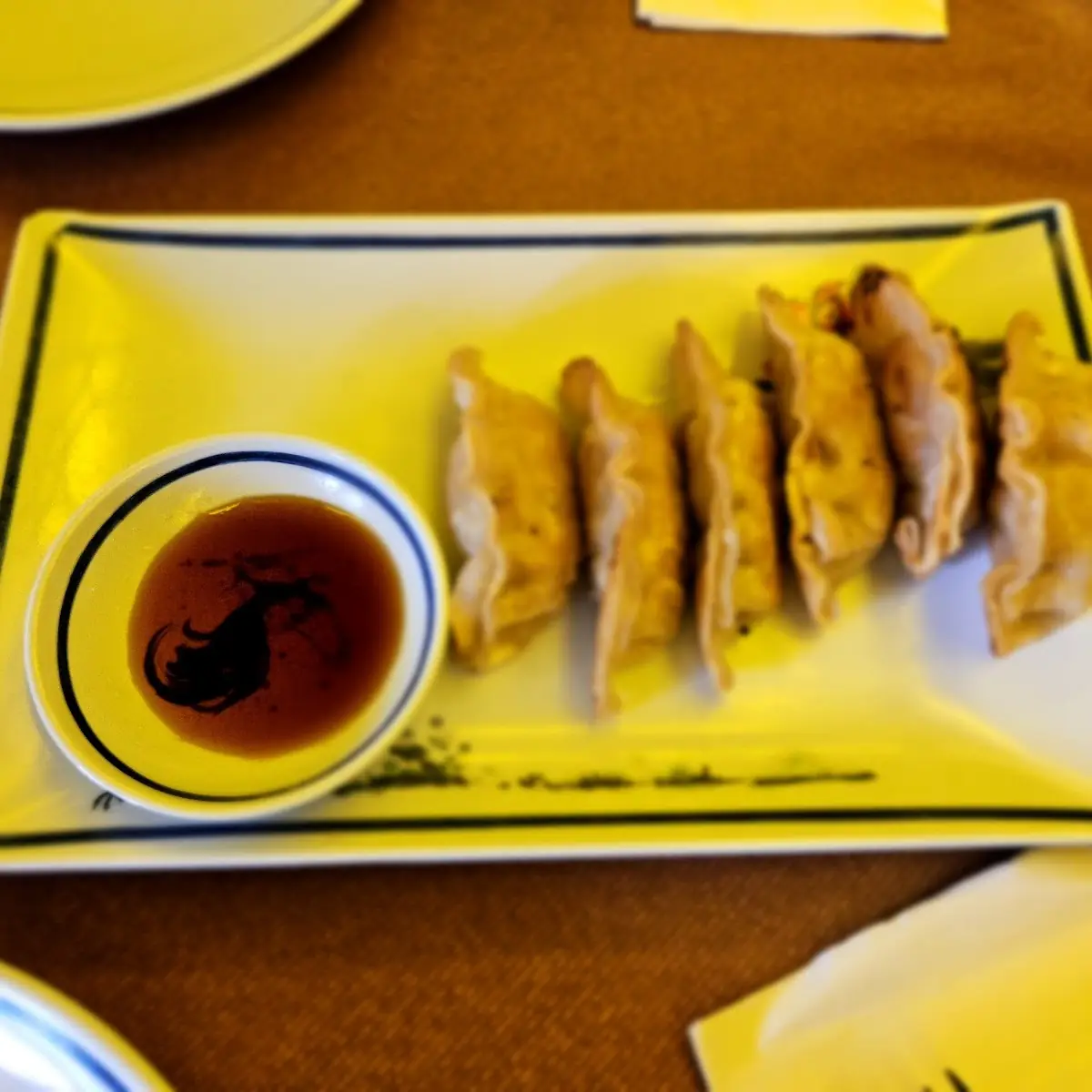 Pan Fried Dumpling