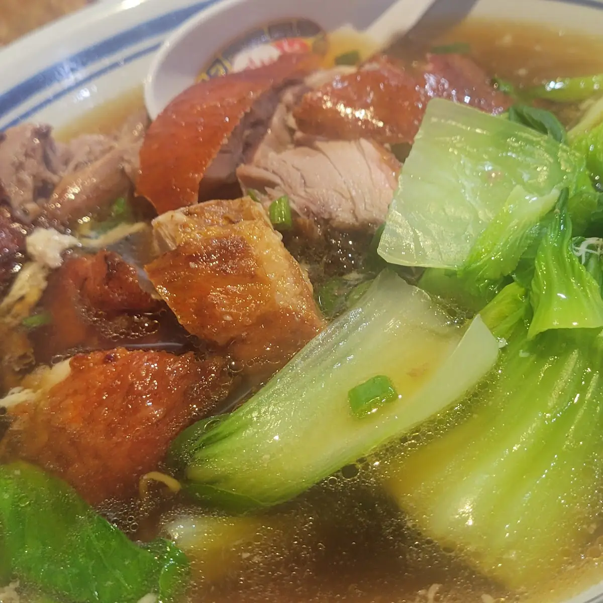 Roast Duck Noodle Soup