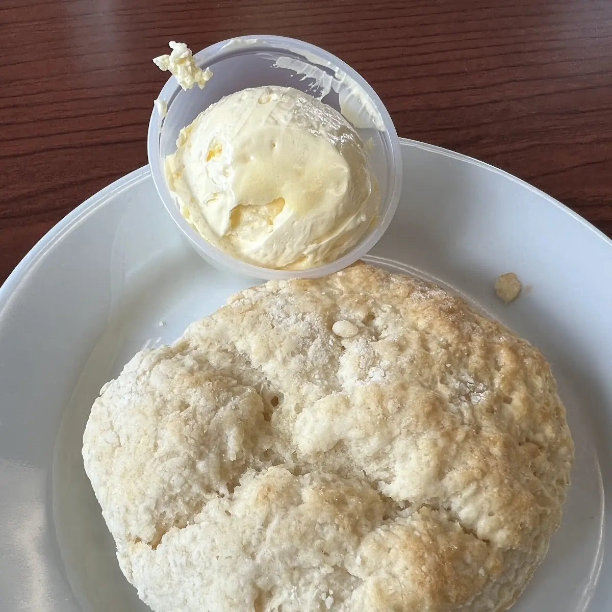 Buttermilk Biscuit