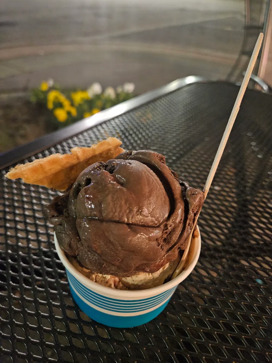 Dark Chocolate Raspberry