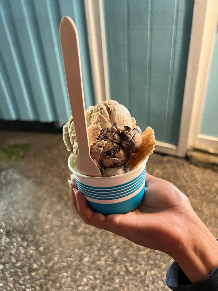 Vegan Pineapple & Chocolate Ice Cream