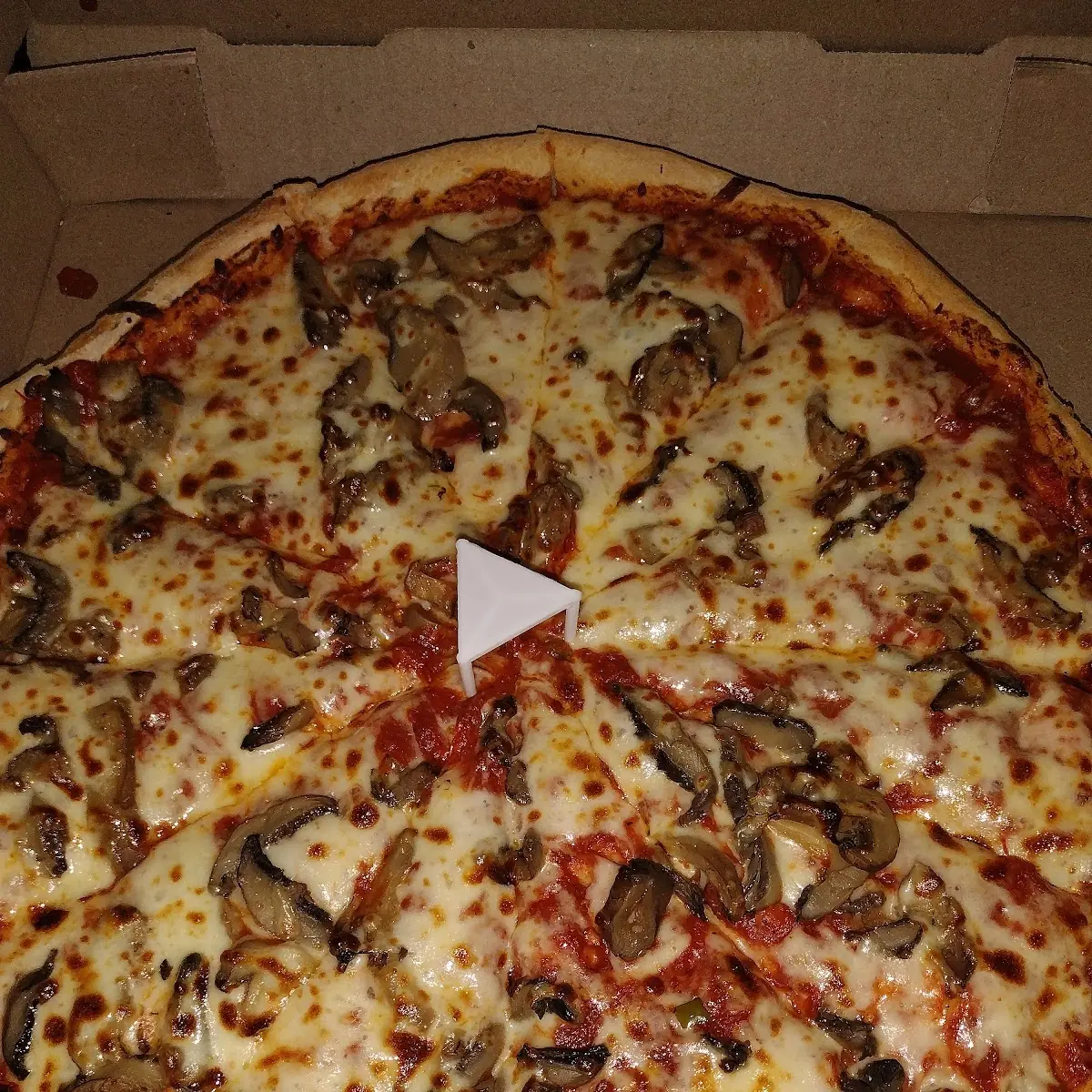 Mushroom Pizza