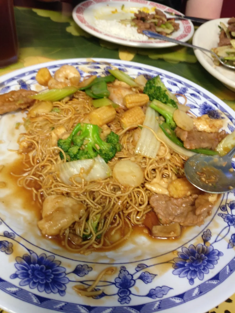 Combination Pan Fried Noodle