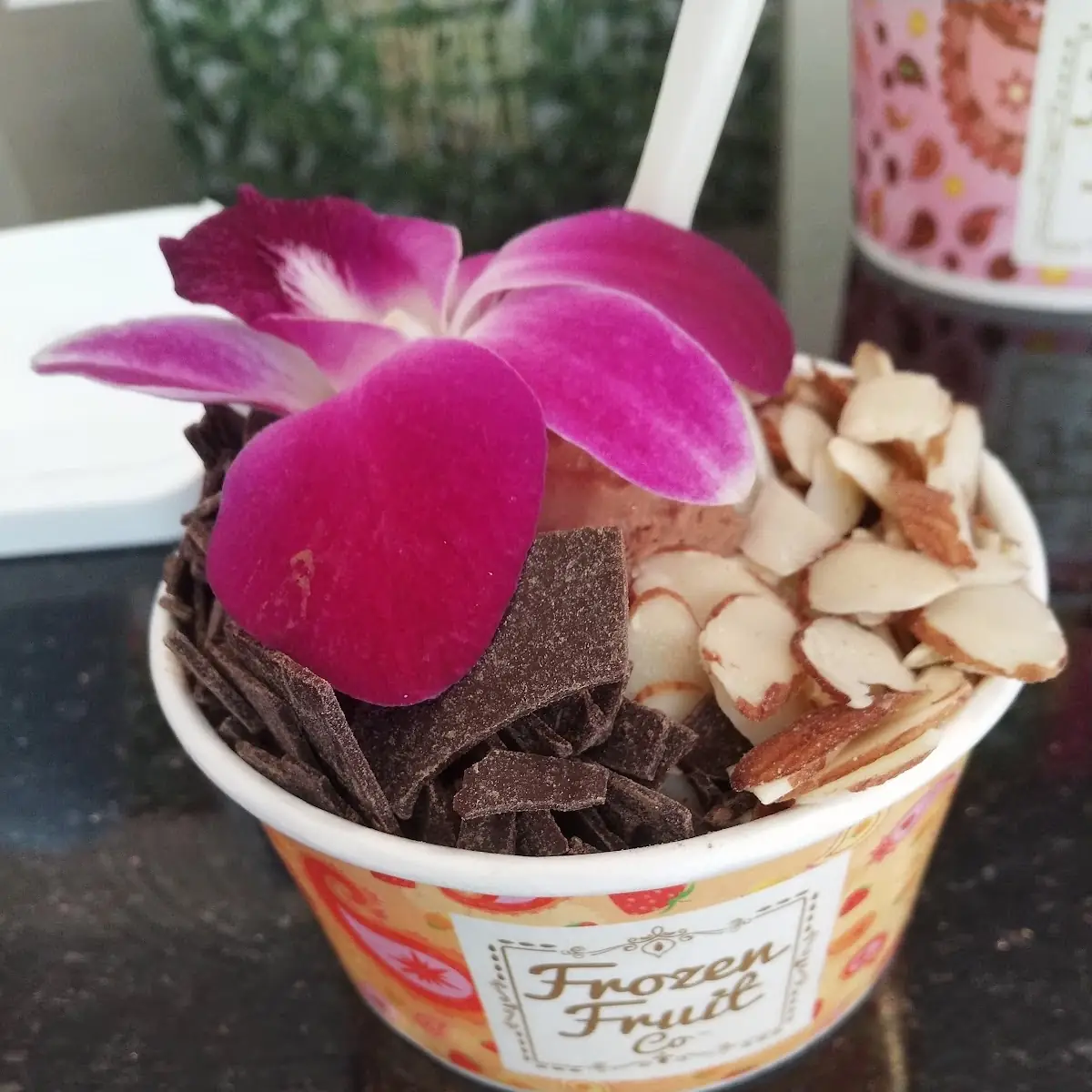 Vegan Chocolate Ice-Cream