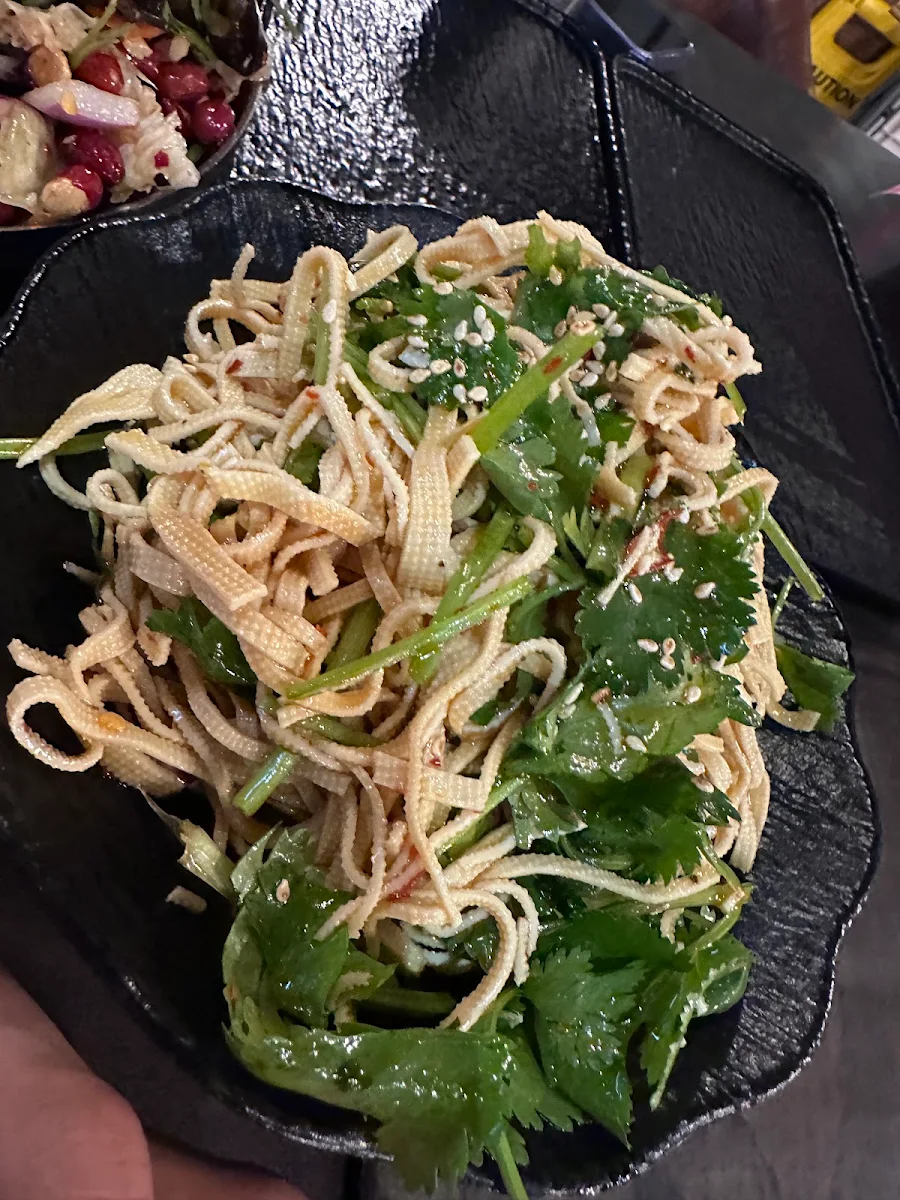 Tofu Skin