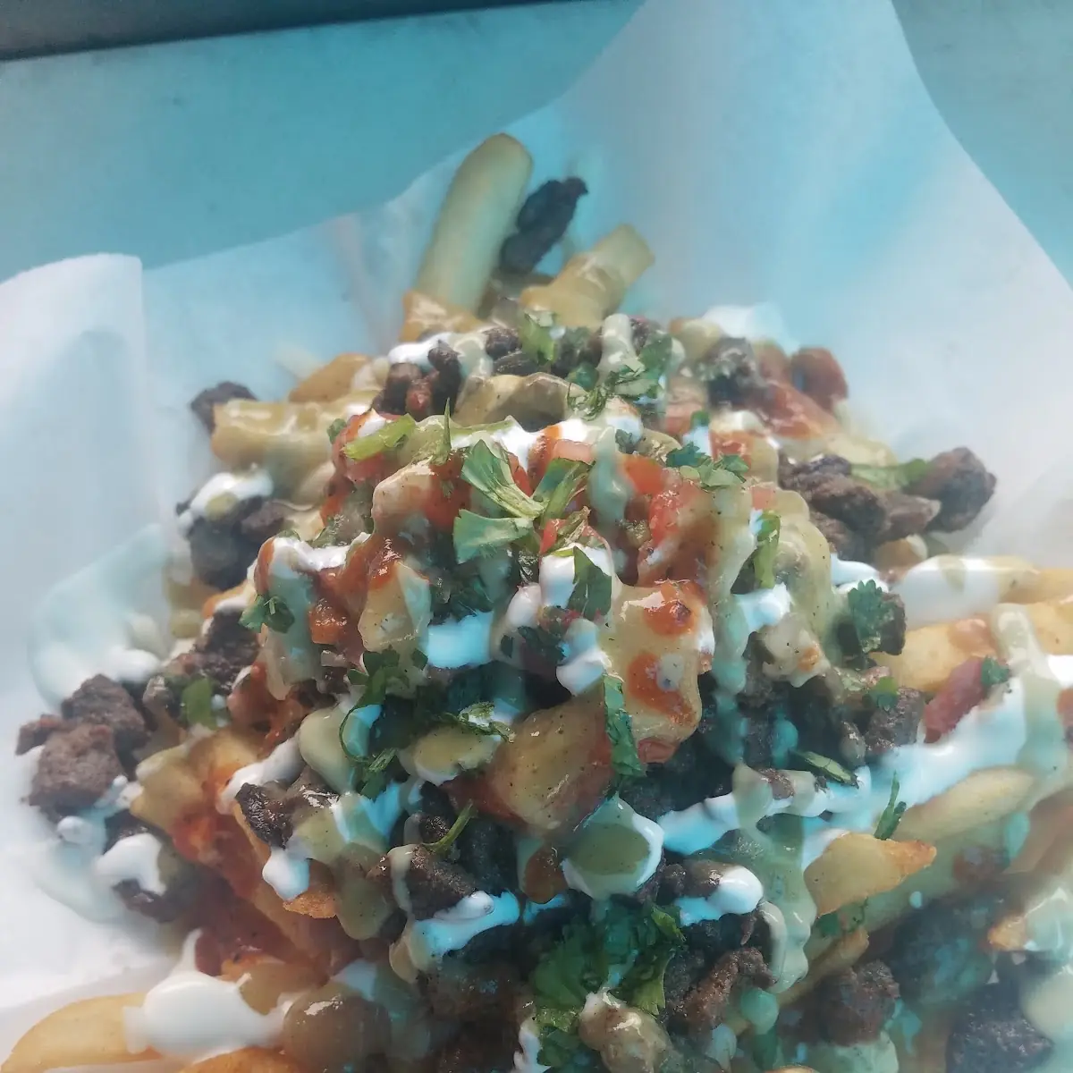 Carne Asada Fries