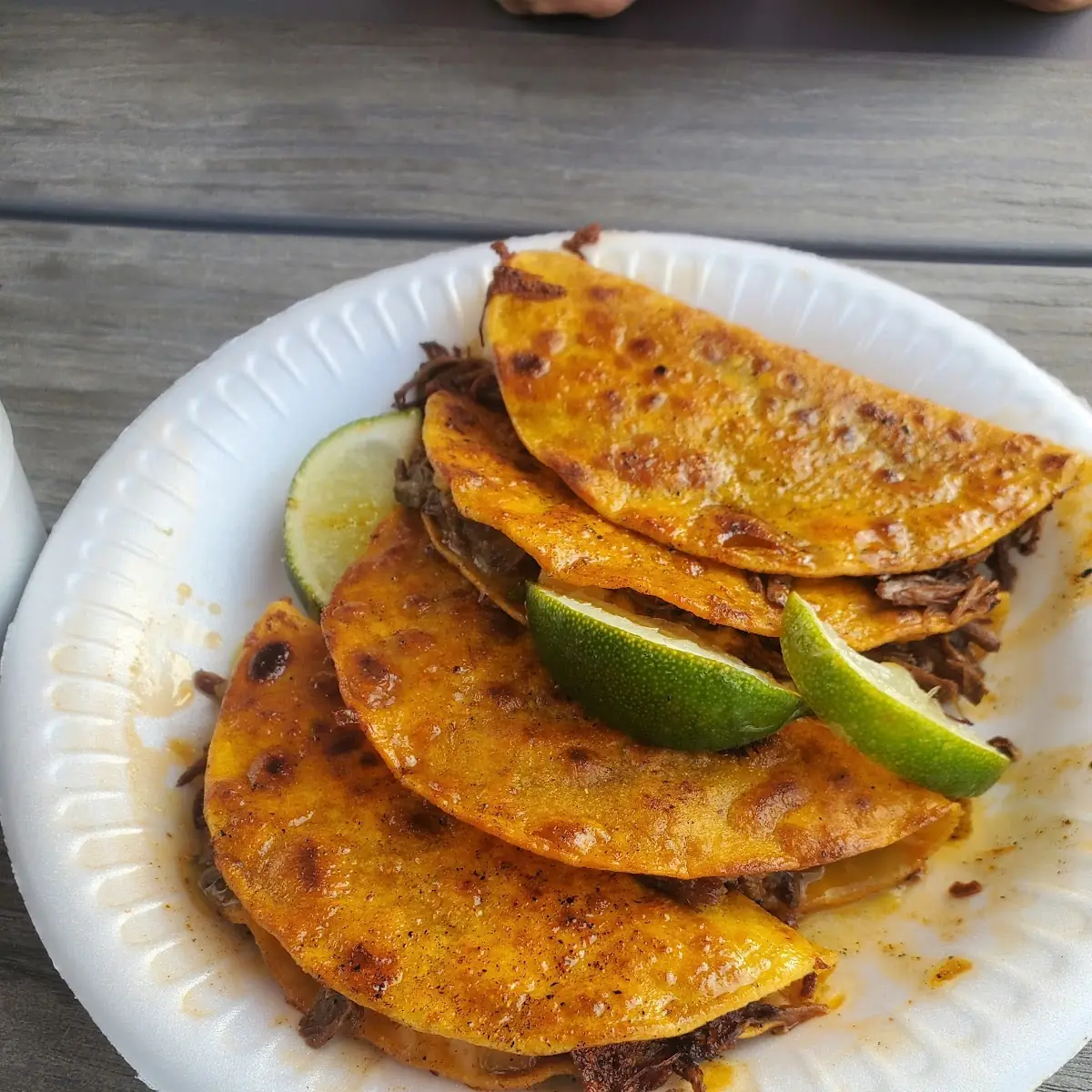 Quesadilla Birria