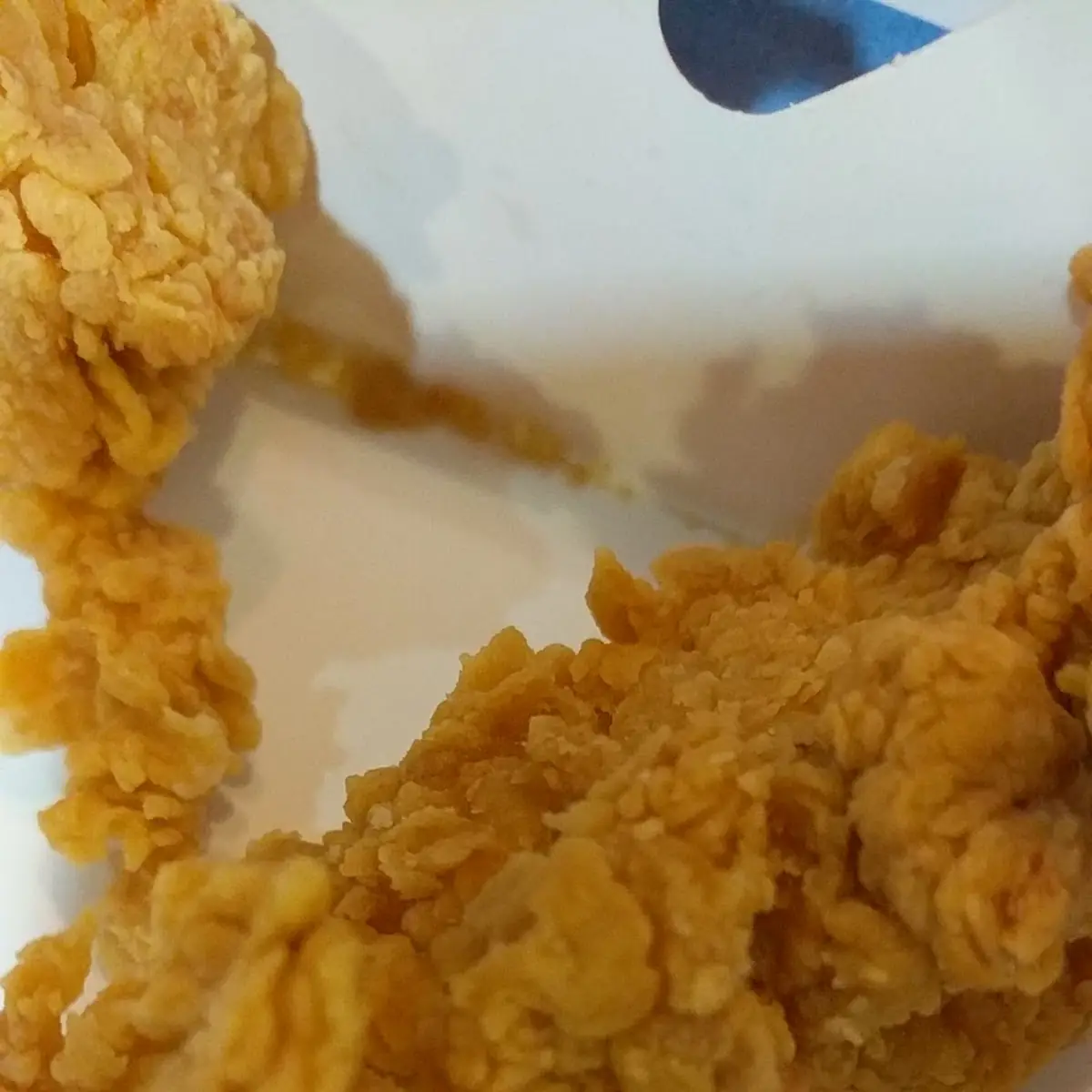 Supposed to Be a Chicken Strip Dinner