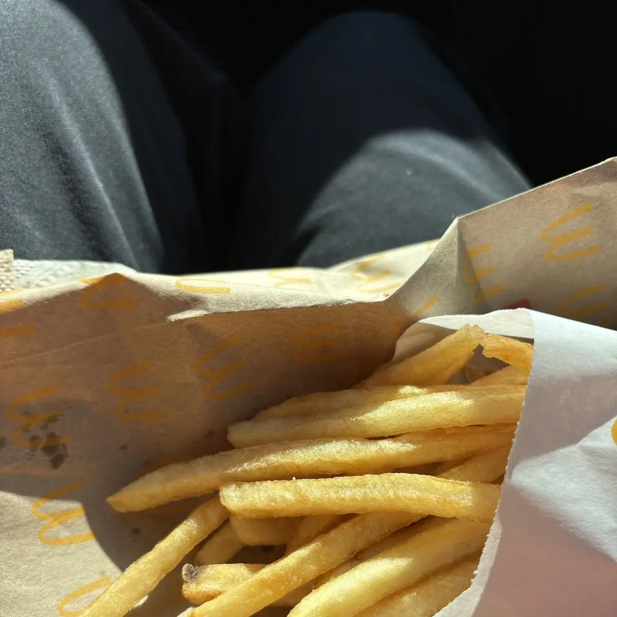 World Famous Fries