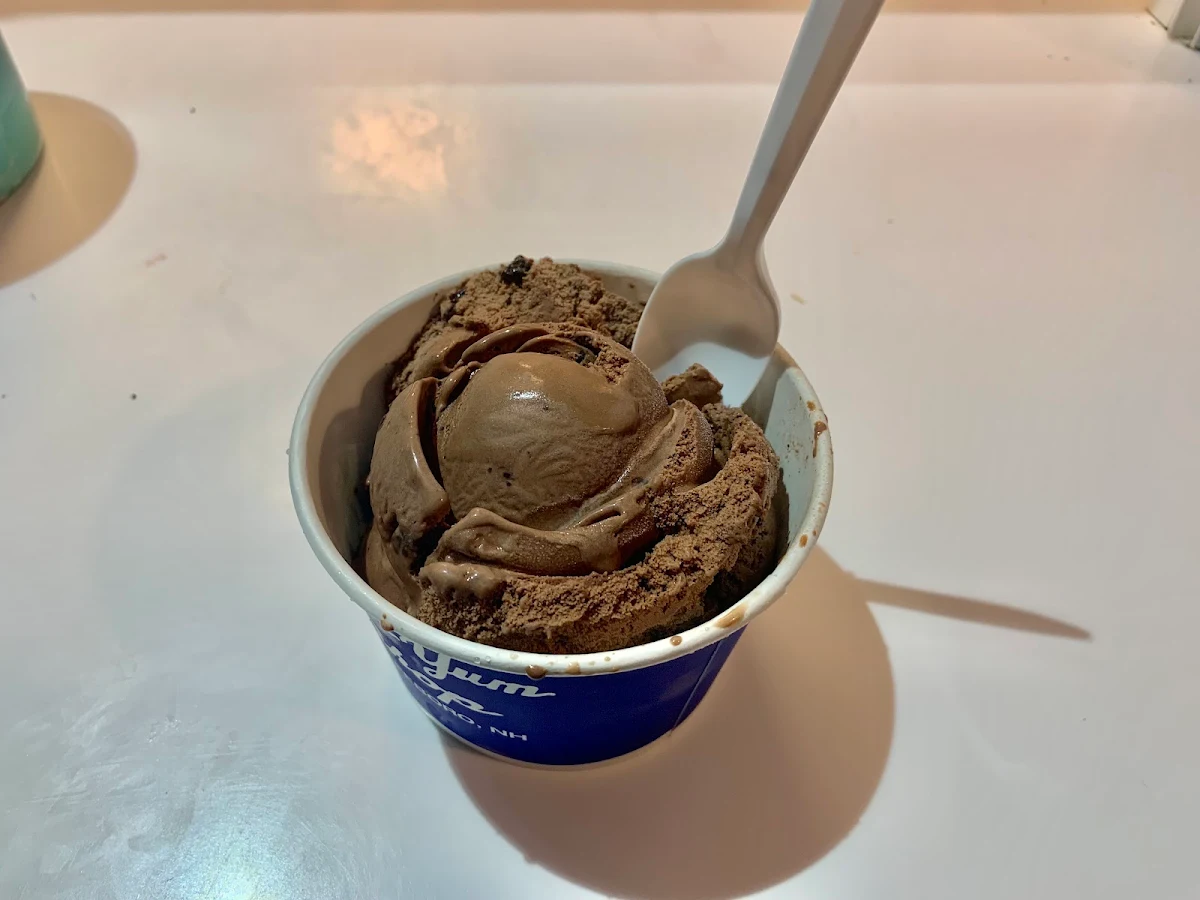 Chocolate Ice Cream