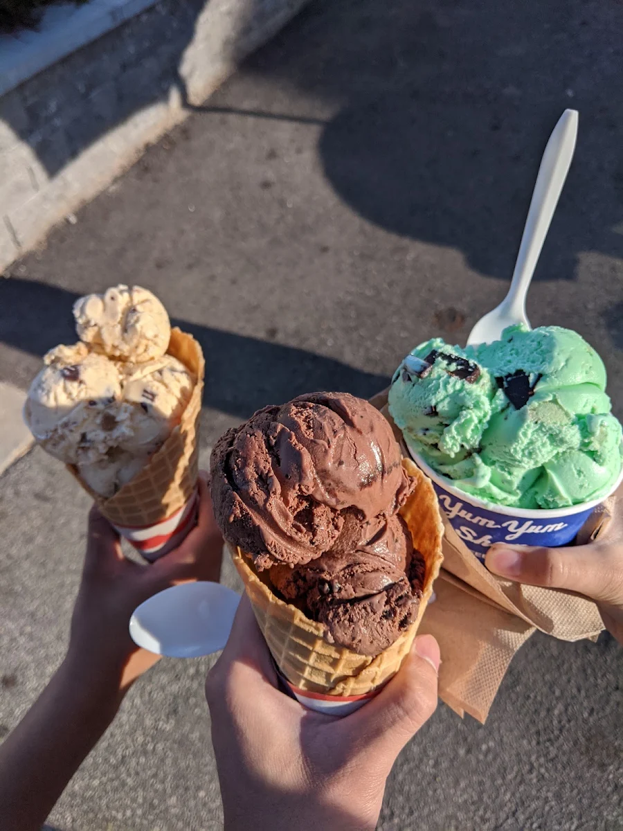 Peanut Butter Chocolate Lovers Choc and Mint Choc Chip