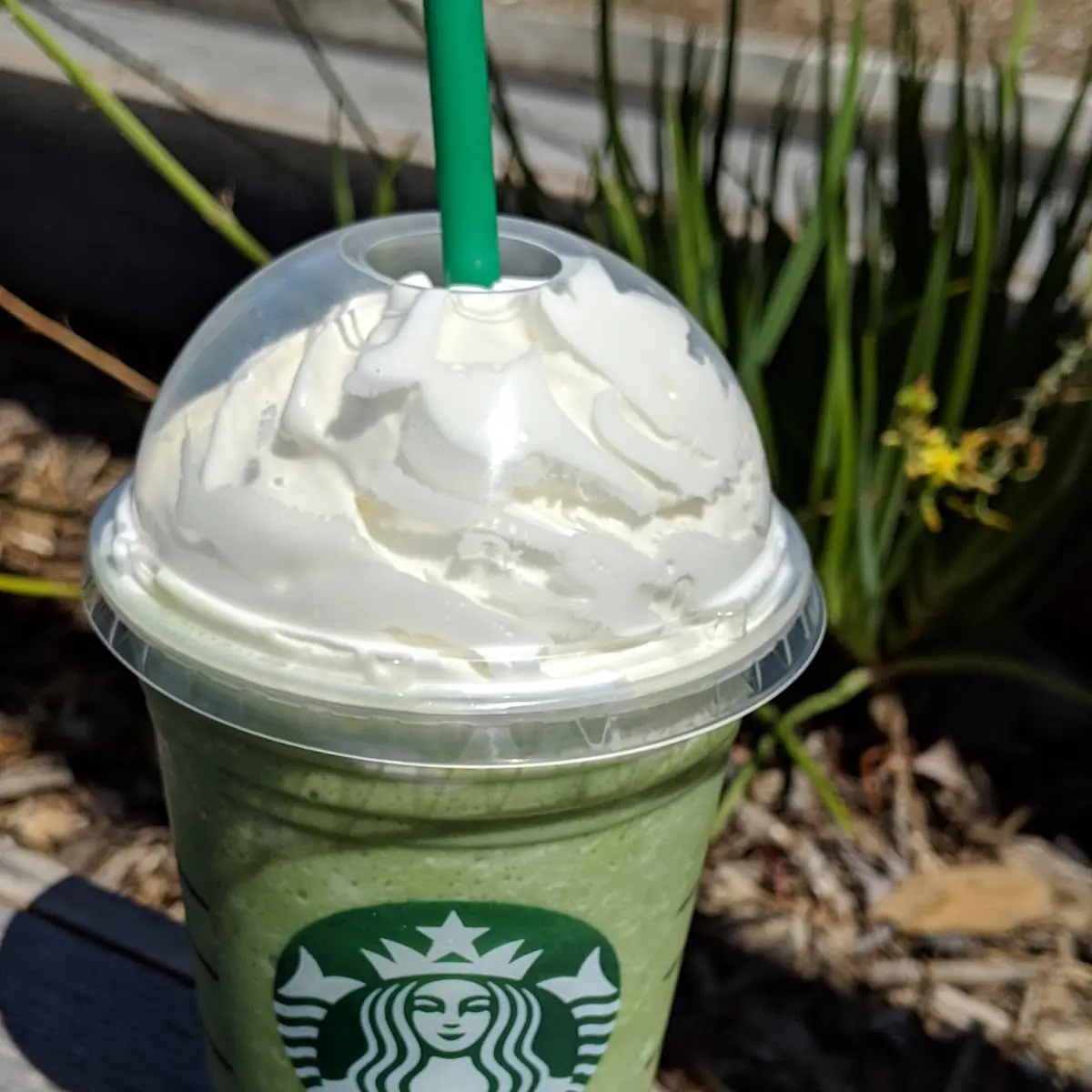 Mango Green Tea Creme Frappuccino