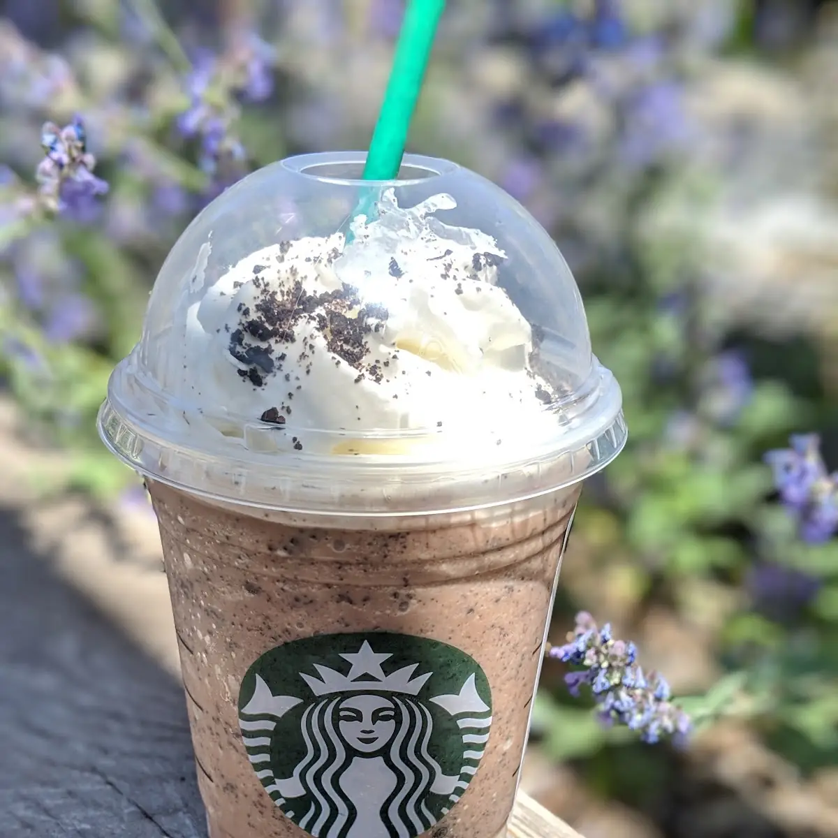 Mocha Cookie Crumble Frappuccino Blended Beverage