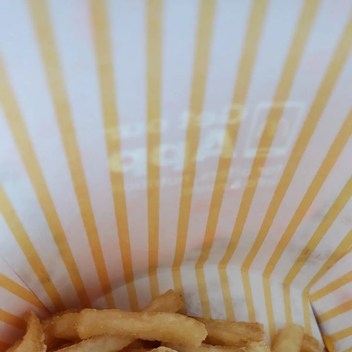 World Famous Fries