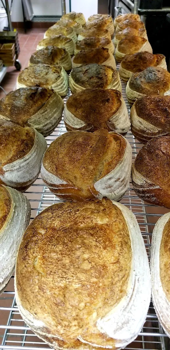 Sourdough