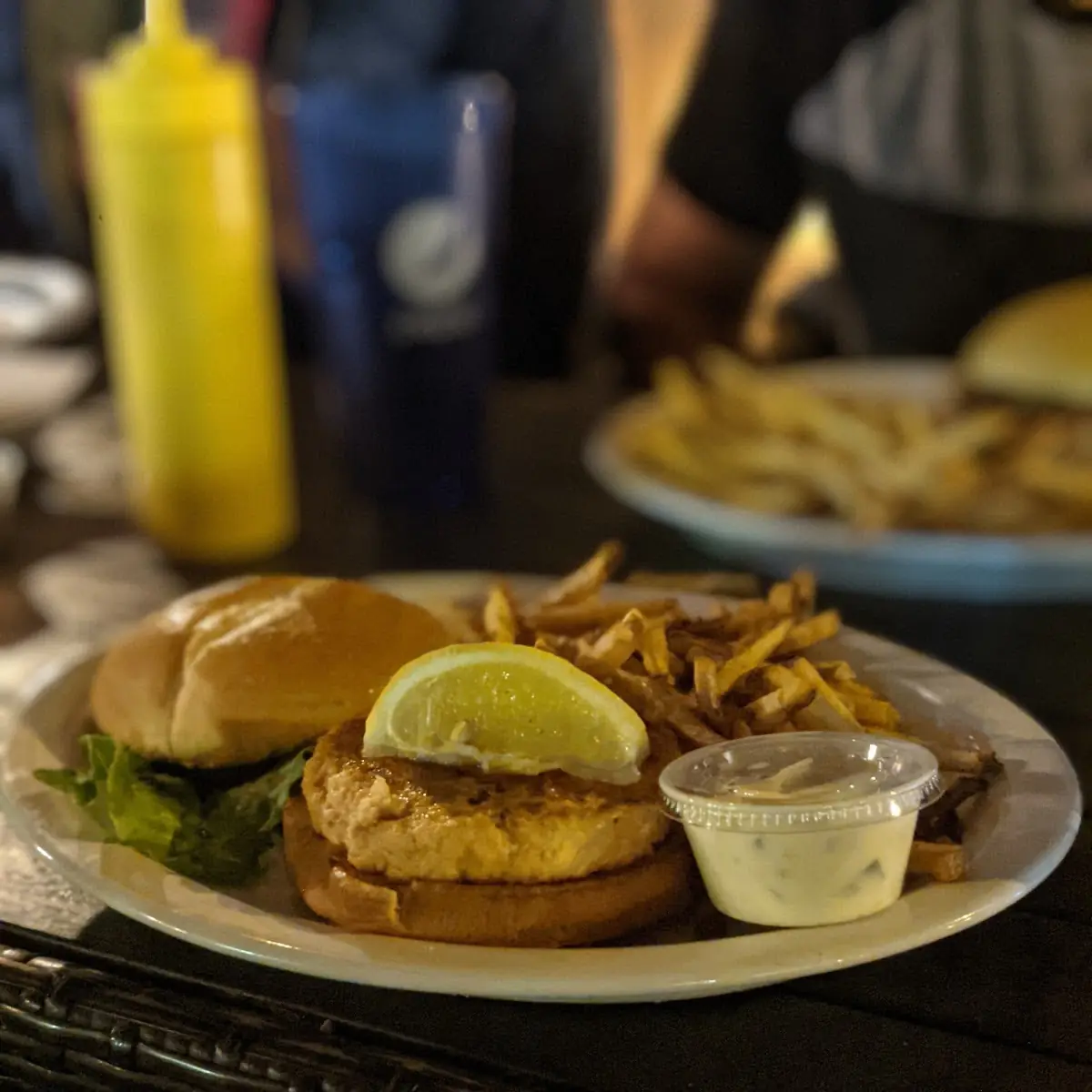 Salmon Burger
