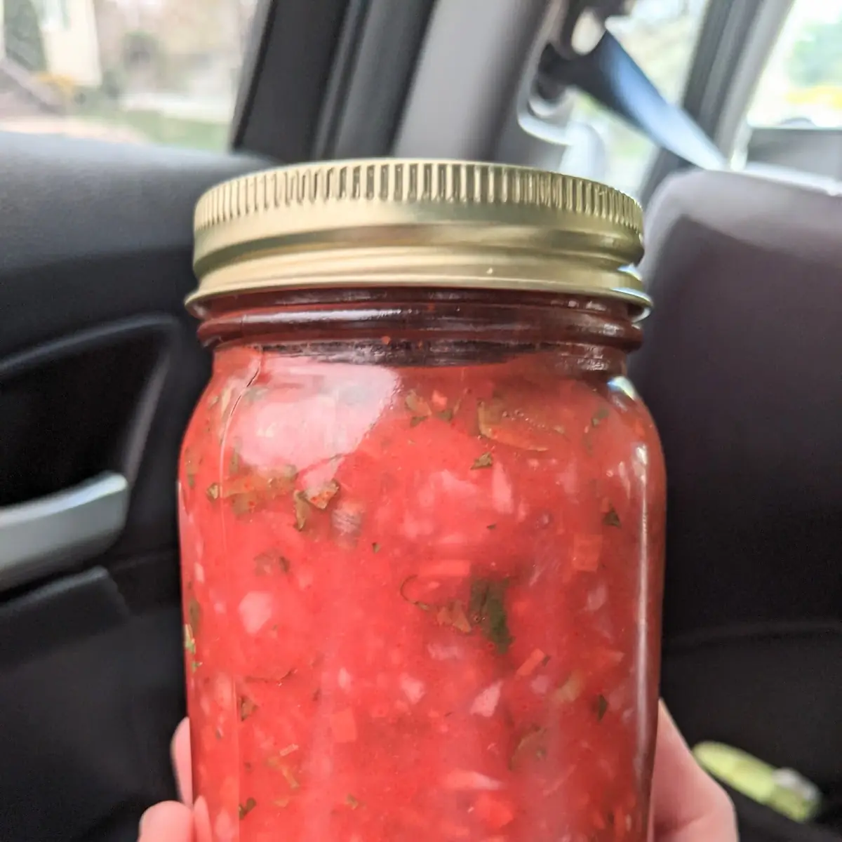 Homemade Hot Sauce