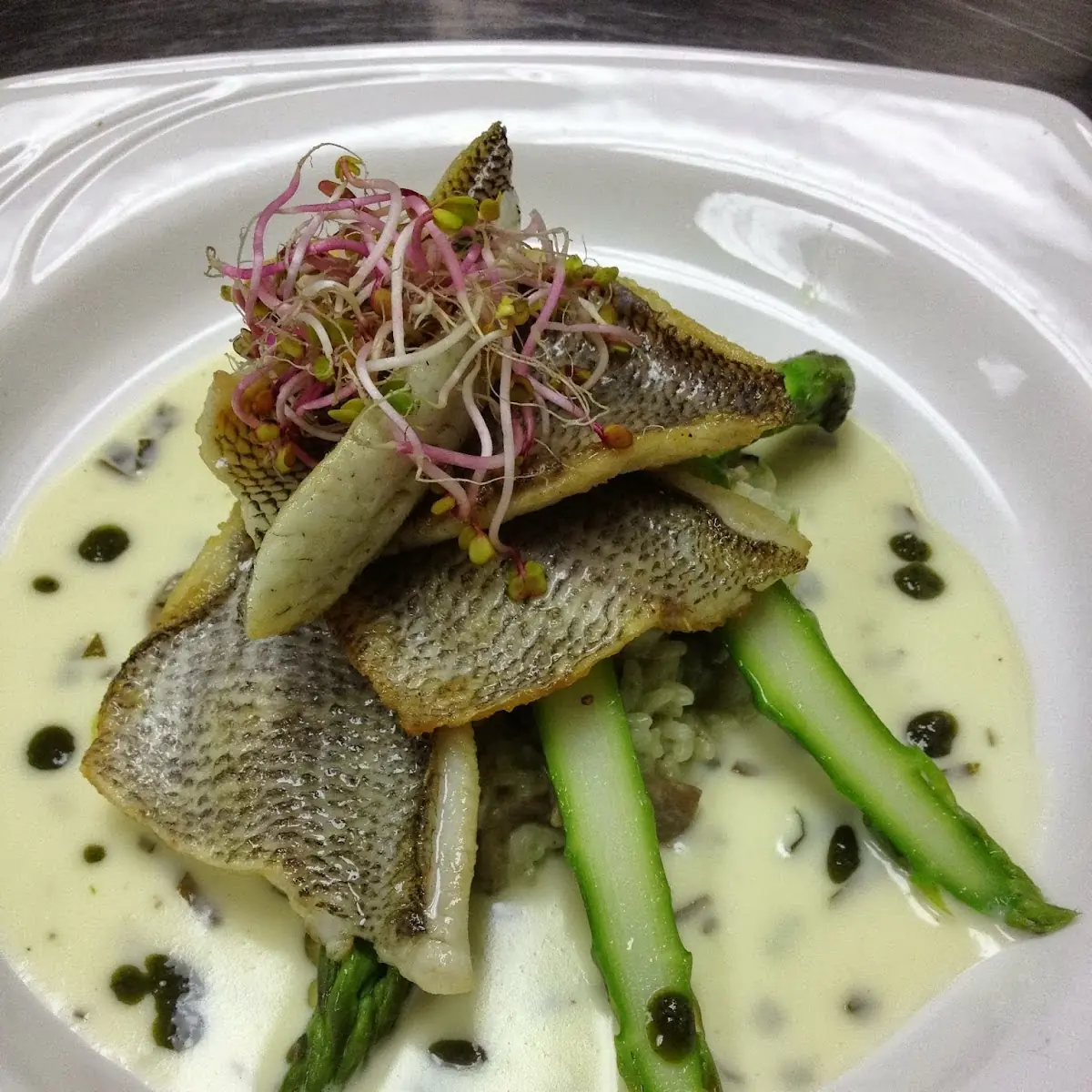 Sea Bass