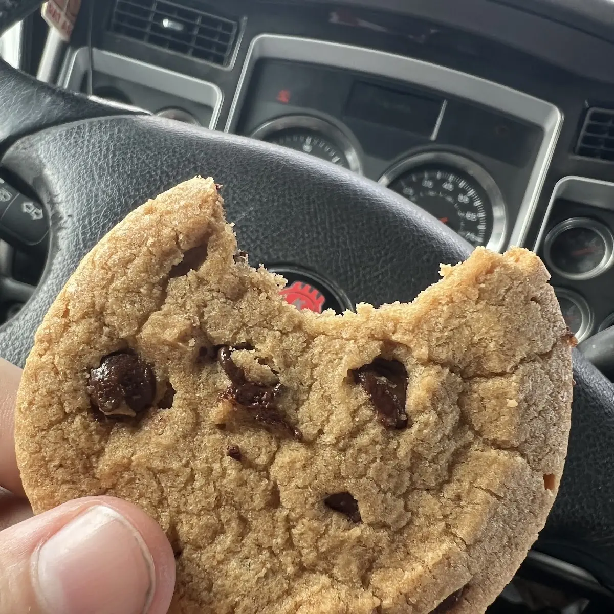 Chocolate Chip Cookie