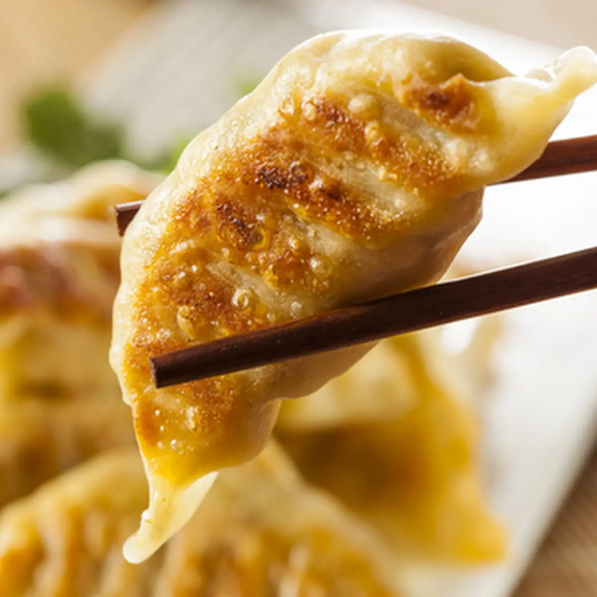 Fried Dumpling 4pcs