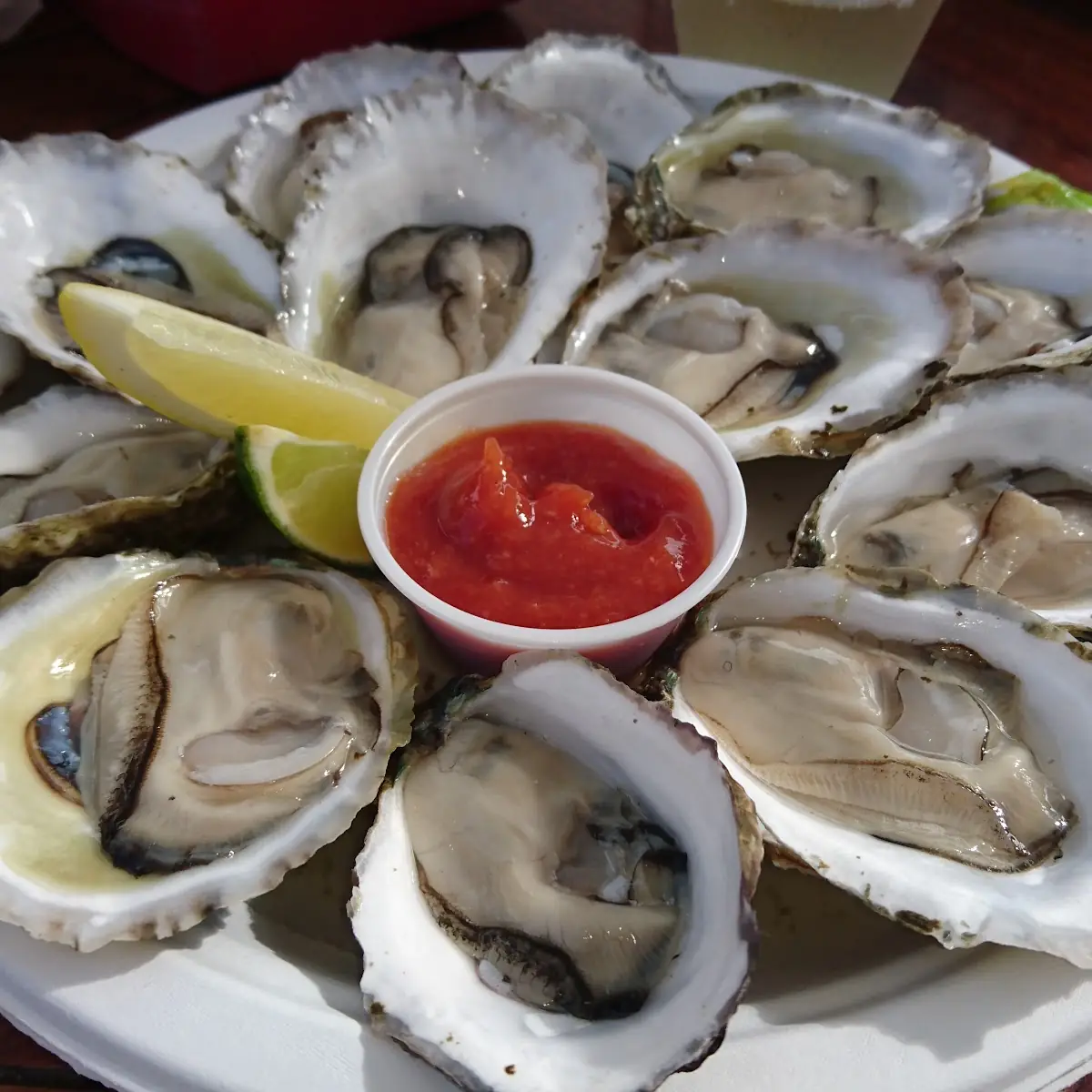 Oysters on the Half Shell