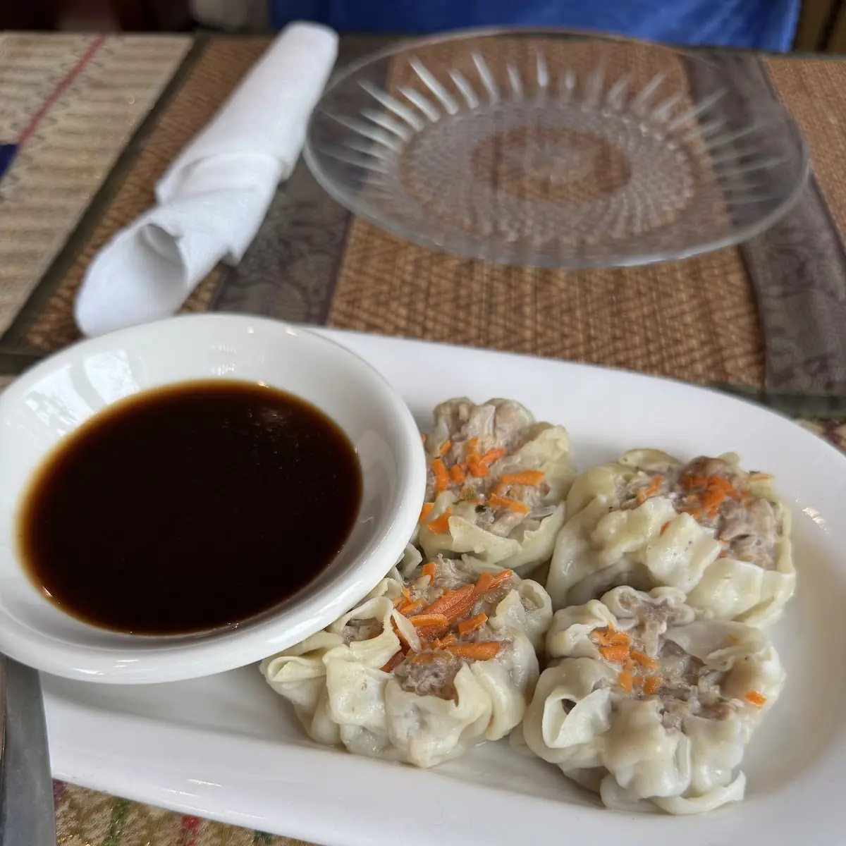 Thai Dumplings