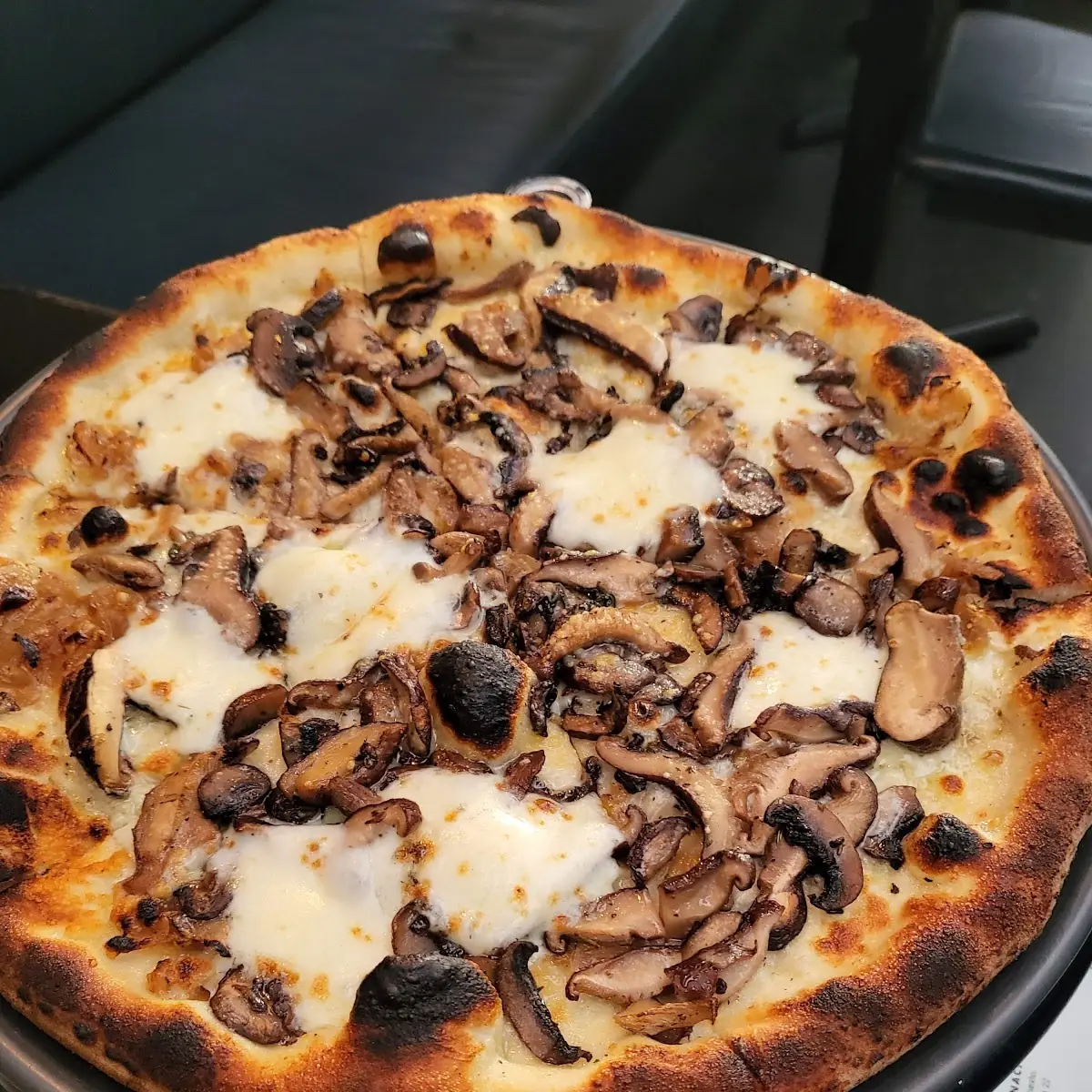 Pizza Funghi