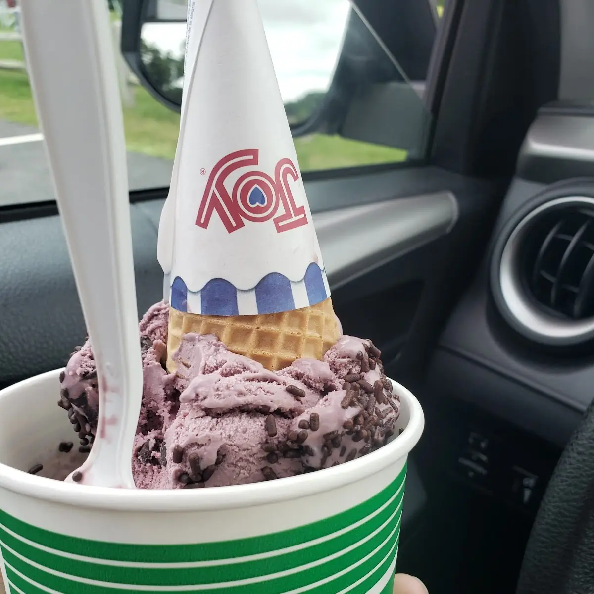 Black Raspberry Chocolate Chip