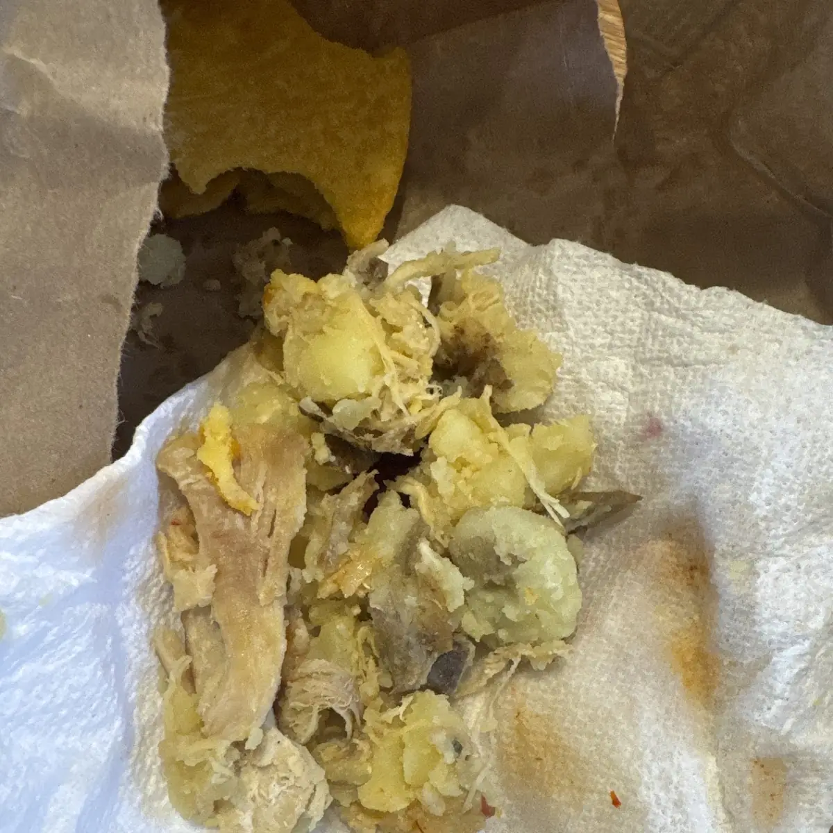 Chicken Empanada