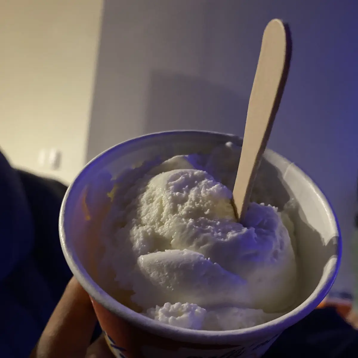 Vanilla Ice Cream