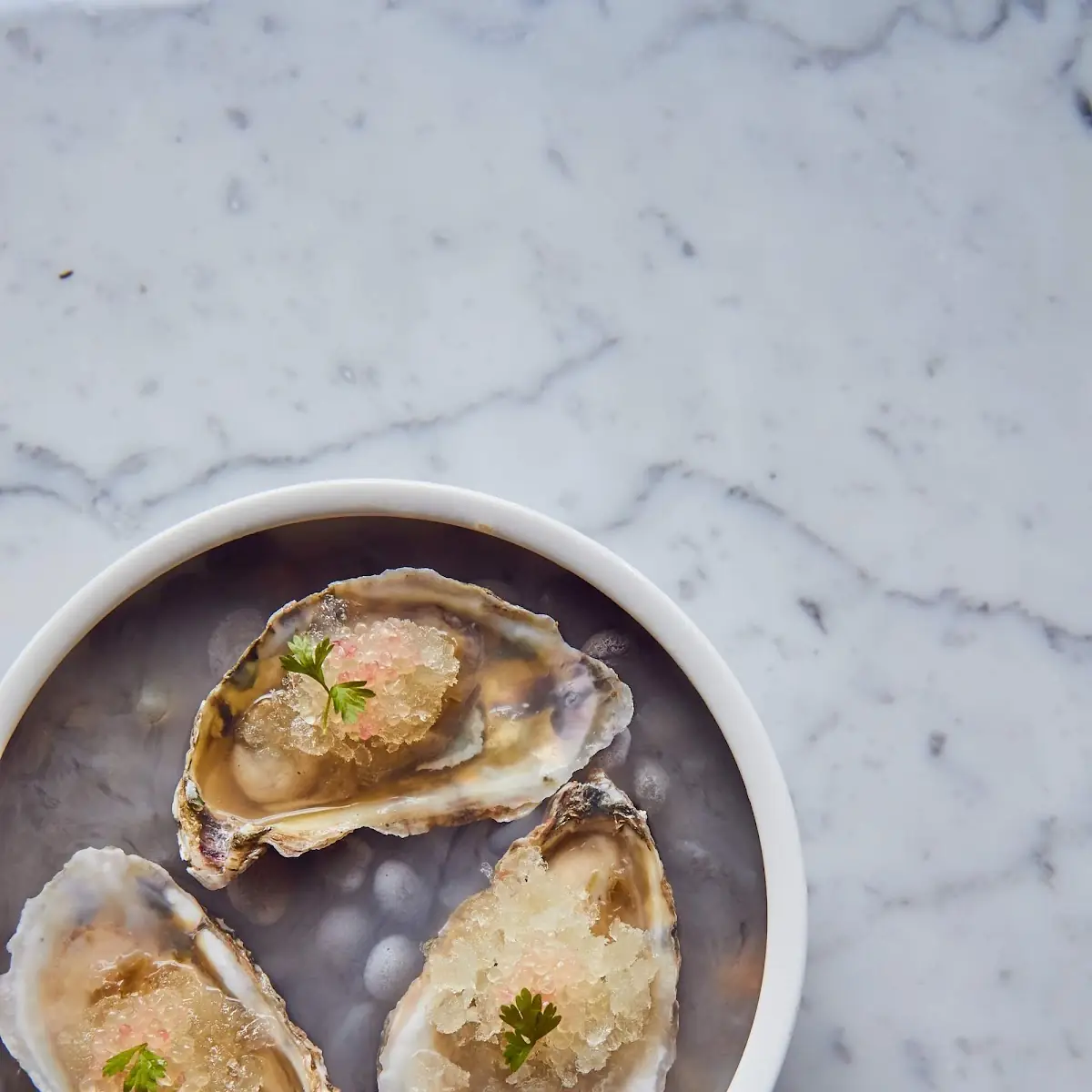 Oysters on the Half Shell