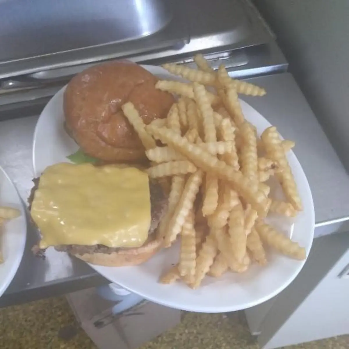 Cheeseburger and Fries