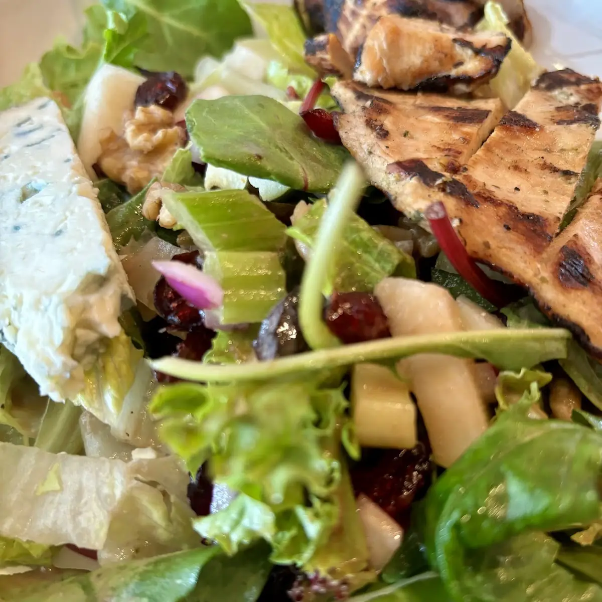 Grilled Chicken Salad