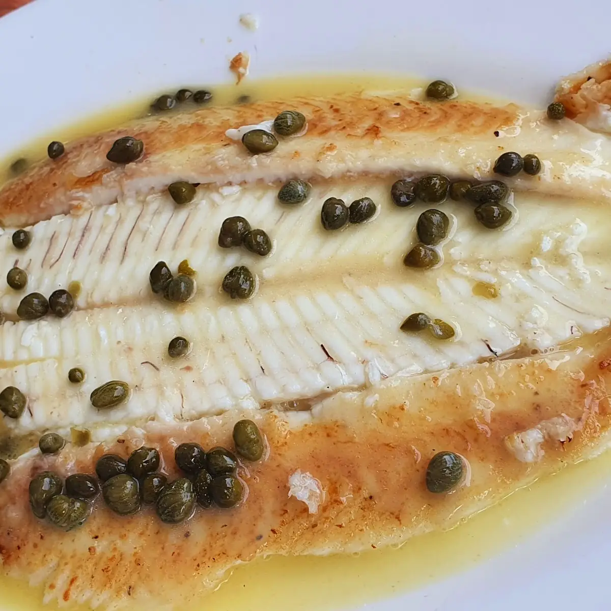 Files of Dover Sole