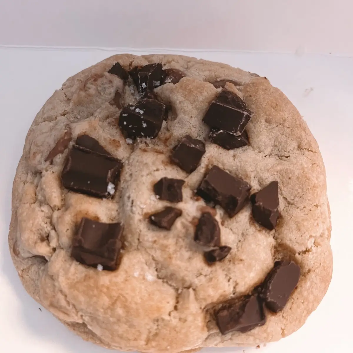 Double Chocolate Chip Cookie