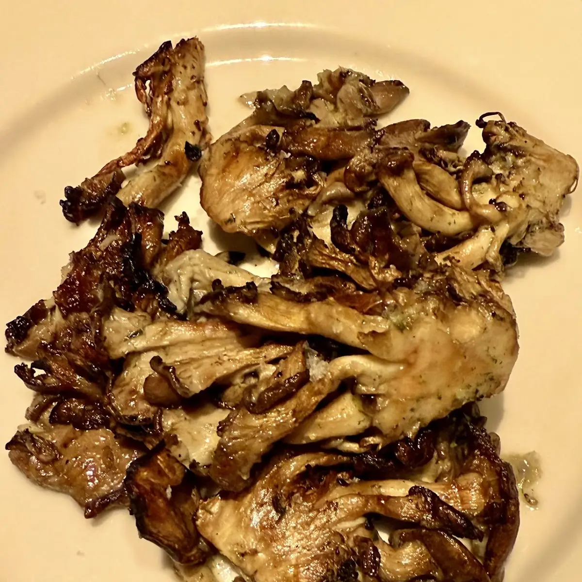 Grilled Oyster Mushroom