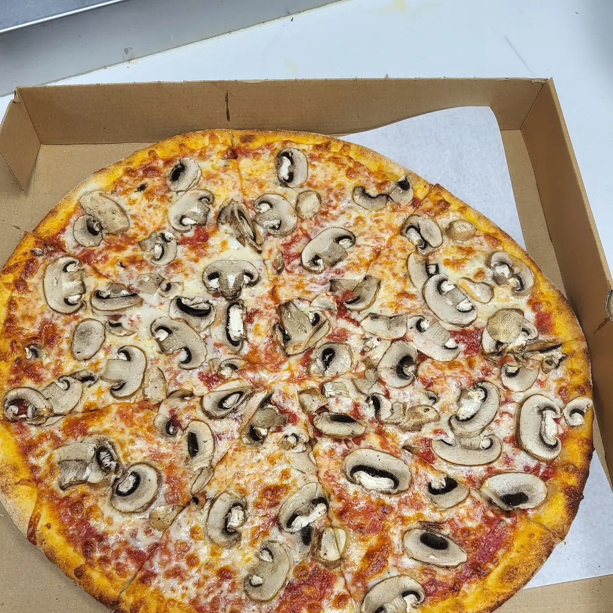 Mushroom Pizza