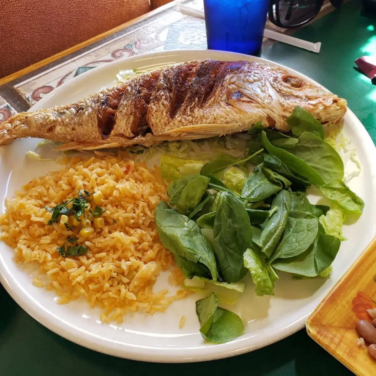 Red Snapper