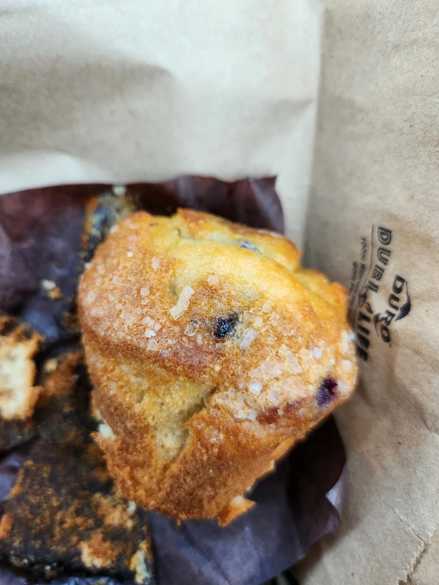 Blueberry Muffin