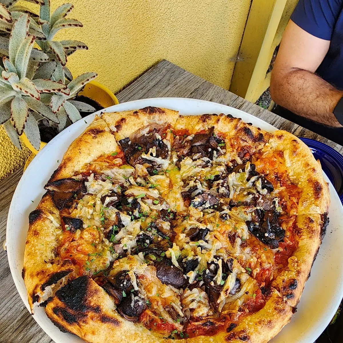 Mushroom Pizza
