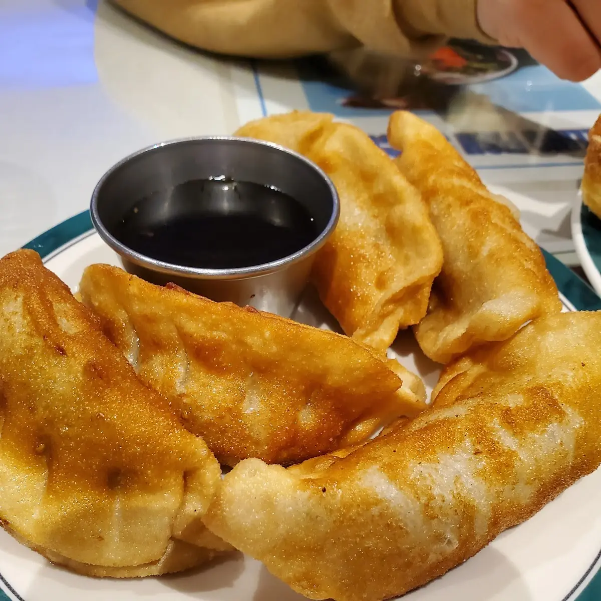 Pan Fried Dumplings
