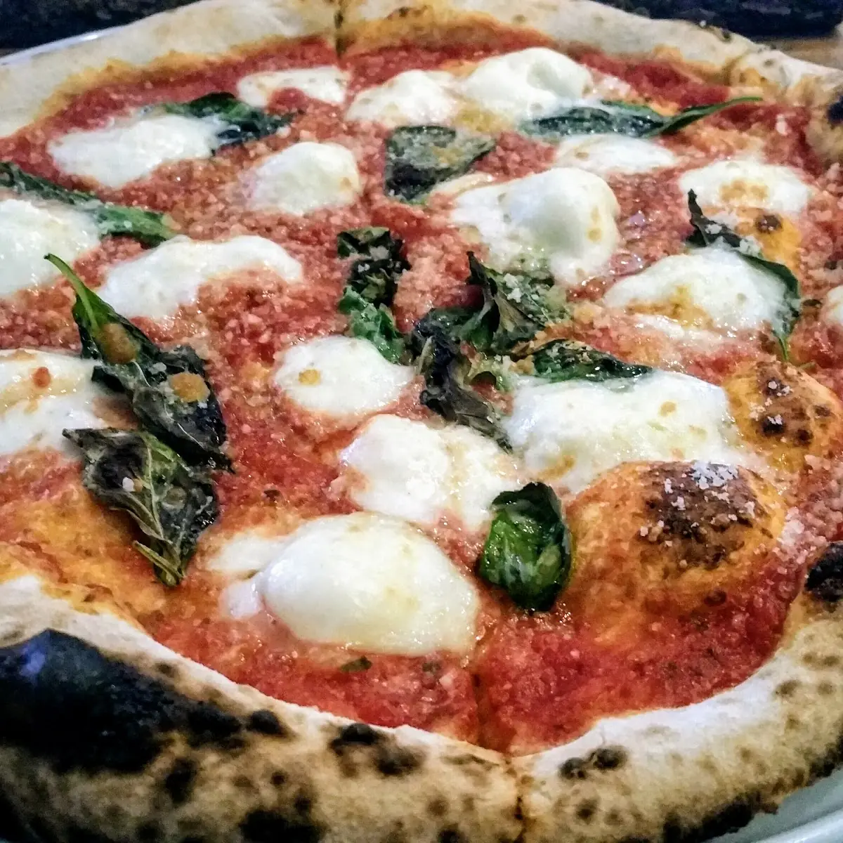 Margherita Pizza